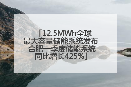 12.5MWh全球最大容量储能系统发布 合肥一季度储能系统同比增长425%