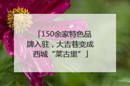 150余家特色品牌入驻，大吉巷变成西城“菜古里”