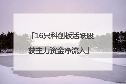 16只科创板活跃股获主力资金净流入