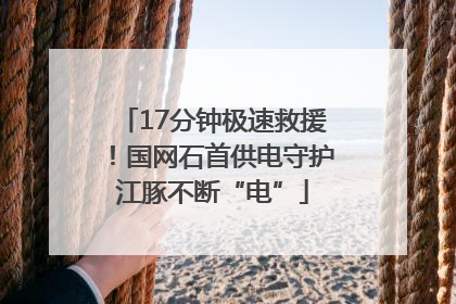 17分钟极速救援！国网石首供电守护江豚不断“电”