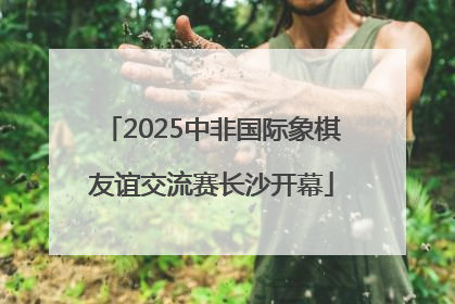 2025中非国际象棋友谊交流赛长沙开幕