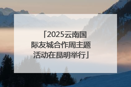 2025云南国际友城合作周主题活动在昆明举行