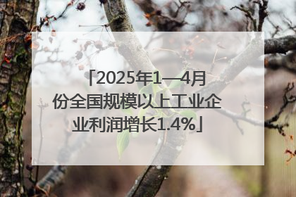 2025年1—4月份全国规模以上工业企业利润增长1.4%
