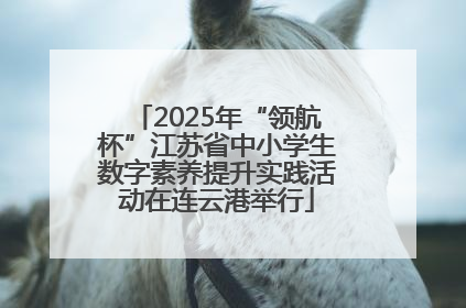 2025年“领航杯”江苏省中小学生数字素养提升实践活动在连云港举行