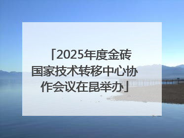 2025年度金砖国家技术转移中心协作会议在昆举办