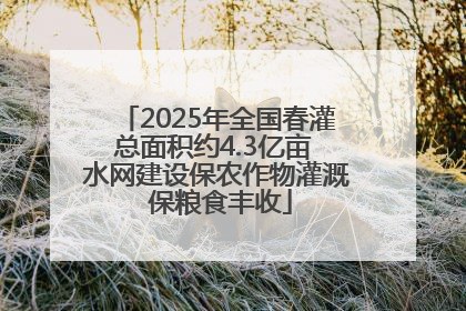2025年全国春灌总面积约4.3亿亩 水网建设保农作物灌溉 保粮食丰收