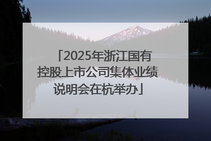 2025年浙江国有控股上市公司集体业绩说明会在杭举办