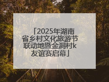 2025年湖南省乡村文化旅游节联动地暨金洞村k友谊赛启幕