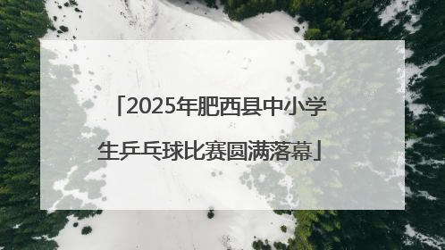 2025年肥西县中小学生乒乓球比赛圆满落幕
