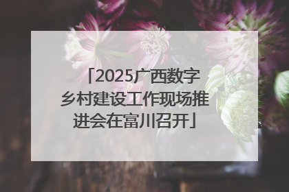 2025广西数字乡村建设工作现场推进会在富川召开