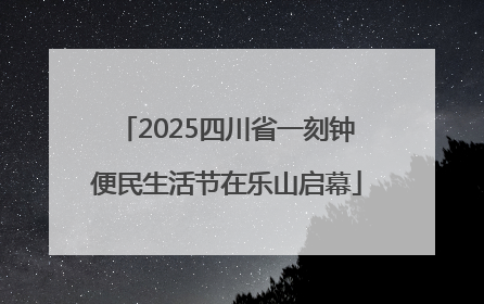 2025四川省一刻钟便民生活节在乐山启幕