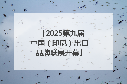 2025第九届中国（印尼）出口品牌联展开幕