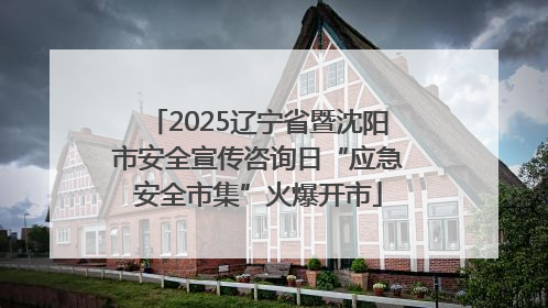 2025辽宁省暨沈阳市安全宣传咨询日“应急安全市集”火爆开市