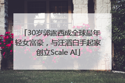 30岁郭露西成全球最年轻女富豪，与汪滔白手起家创立Scale AI