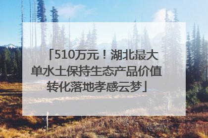 510万元！湖北最大单水土保持生态产品价值转化落地孝感云梦