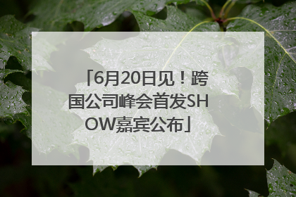 6月20日见！跨国公司峰会首发SHOW嘉宾公布