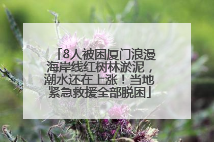 8人被困厦门浪漫海岸线红树林淤泥，潮水还在上涨！当地紧急救援全部脱困