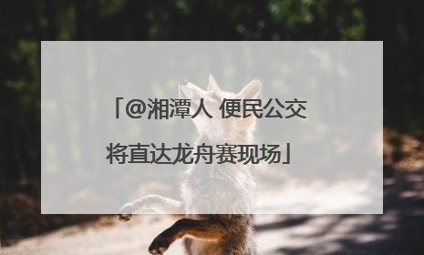 @湘潭人 便民公交将直达龙舟赛现场