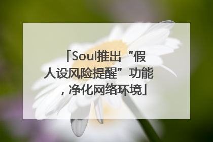 Soul推出“假人设风险提醒”功能，净化网络环境